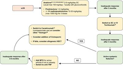 Systemic juvenile idiopathic arthritis: The Great Ormond Street Hospital experience (2005–2021)